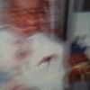 terrymurphy849